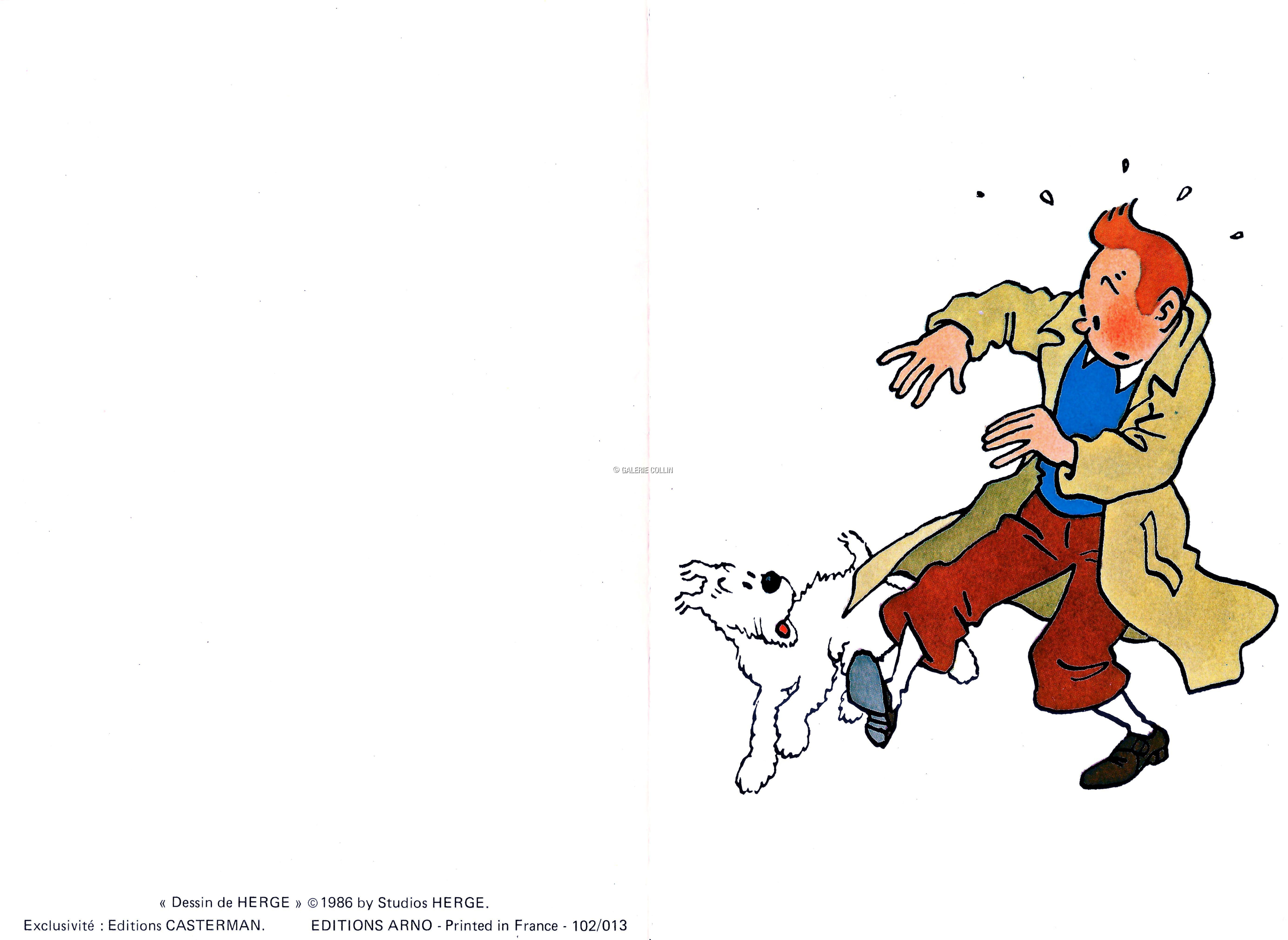 Herge Tintin En Impermeable Carte Double