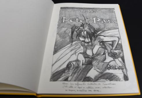 LOISEL.Peter Pan.Edition de luxe. "Destins"Numéroté signé 990ex.